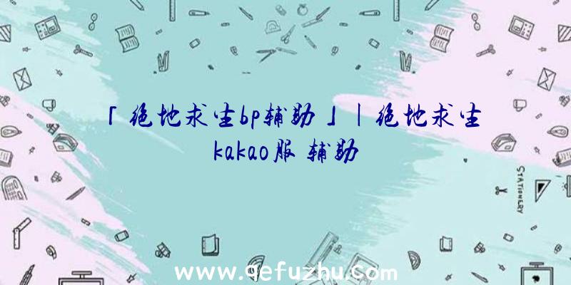 「绝地求生bp辅助」|绝地求生kakao服